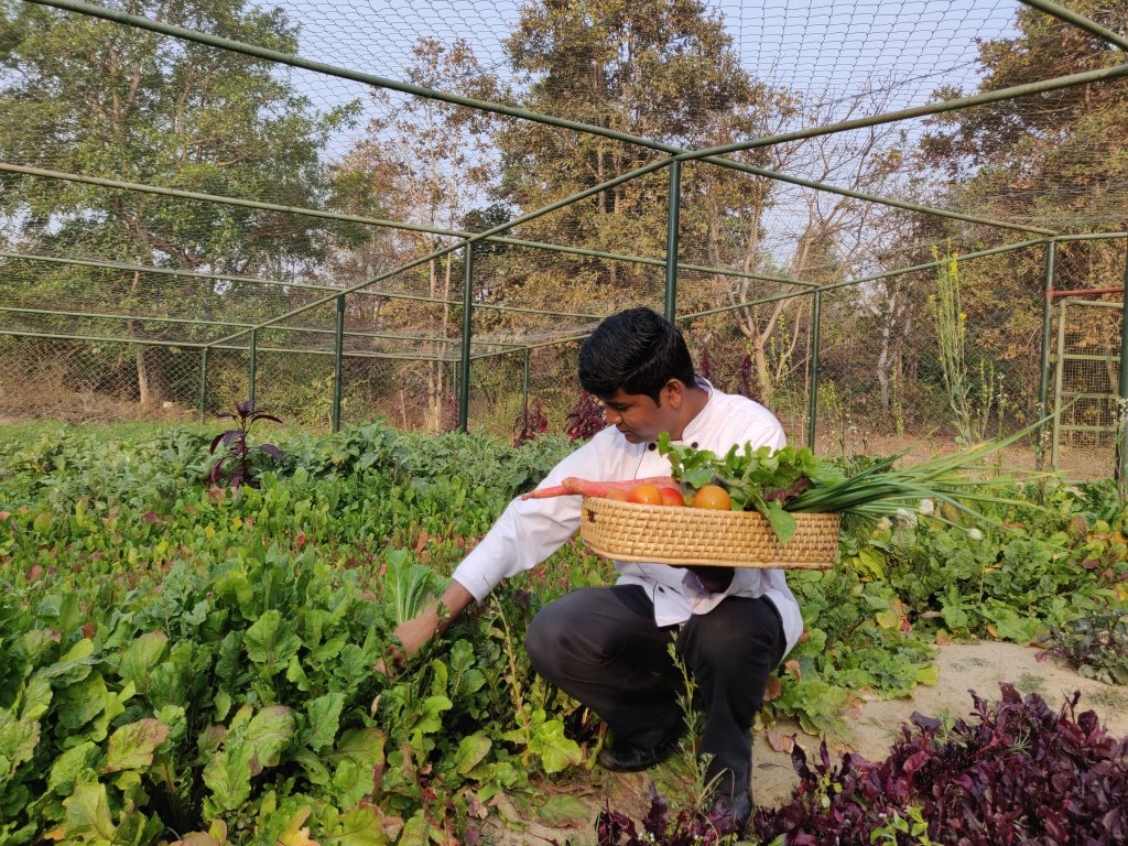 Flavours at Singinawa – the essence of farm to table