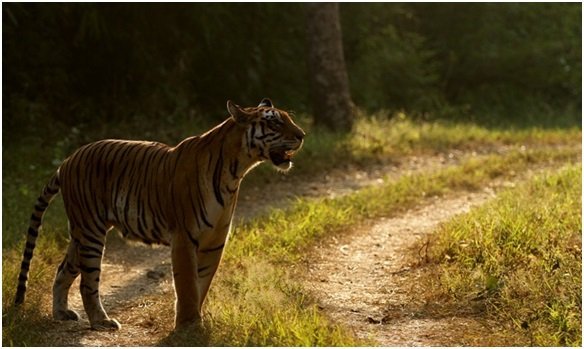 It’s always a matter of chance