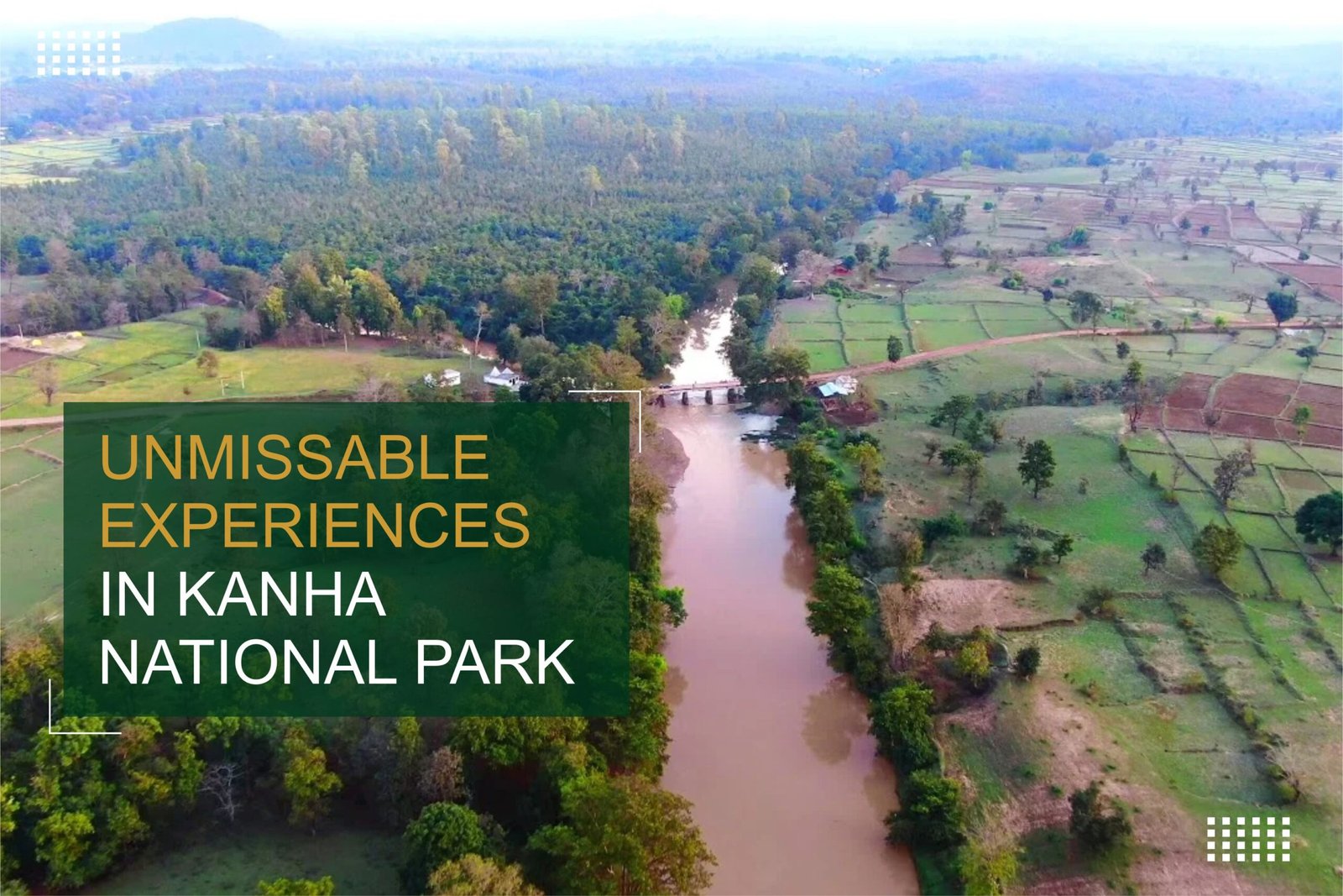 Unmissable Experiences in Kanha National Park