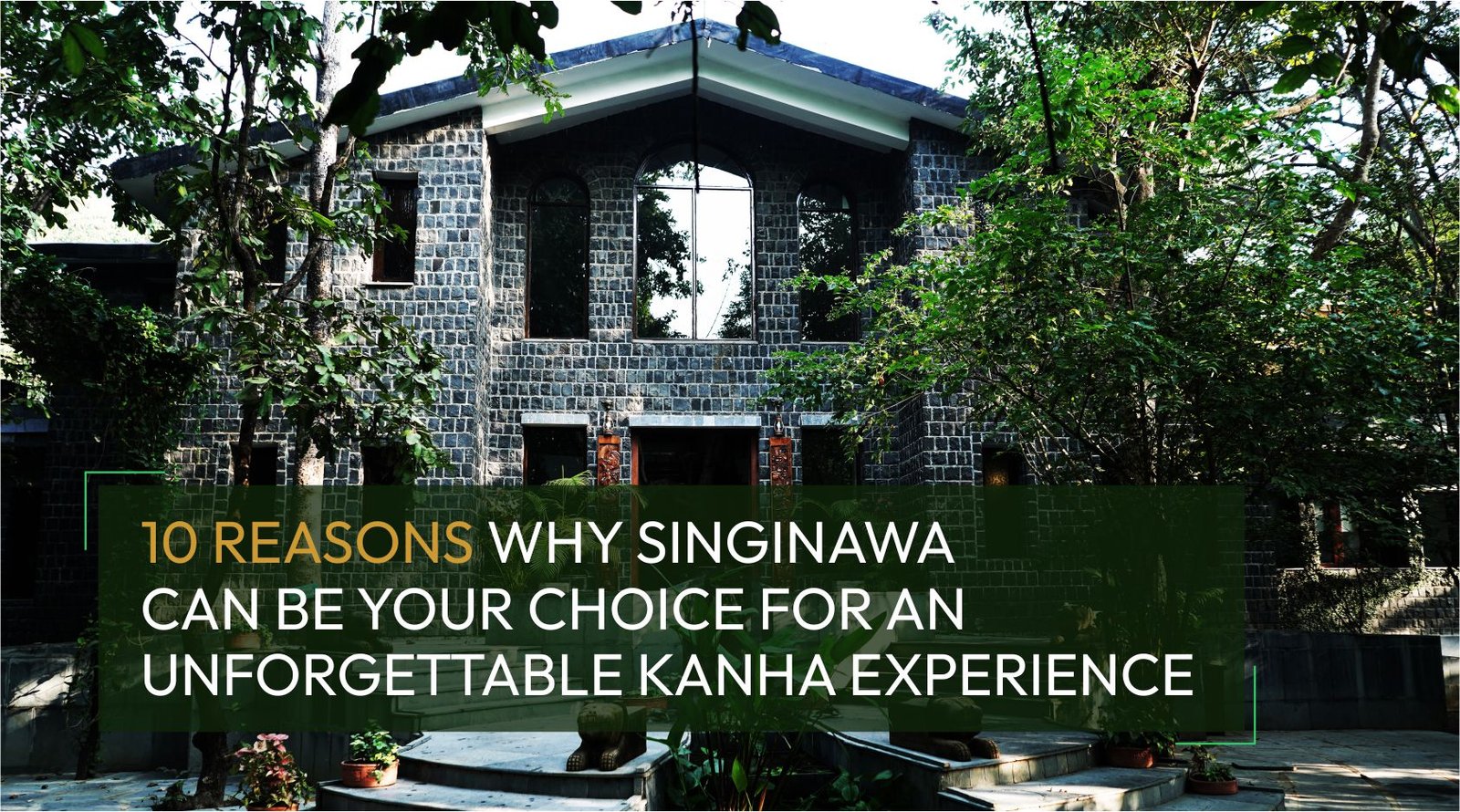 10 Reasons why Singinawa can be your choice for an Unforgettable Kanha Experience