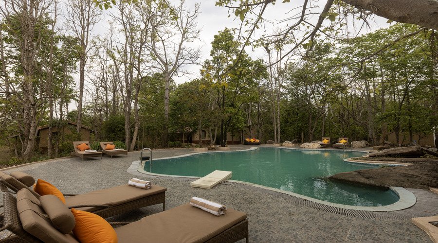 {"type":"elementor","siteurl":"https://singinawajunglelodge.com/wp-json/","elements":[{"id":"17f05de","elType":"widget","isInner":false,"isLocked":false,"settings":{"image":{"url":"http://singinawajunglelodge.com/blogs/wp-content/uploads/2024/05/blog-s1-2.png","id":18485,"size":"","alt":"","source":"library"},"image_size":"medium","image_custom_dimension":{"width":"","height":""},"caption_source":"none","caption":"","link_to":"none","link":{"url":"","is_external":"","nofollow":"","custom_attributes":""},"open_lightbox":"default","align":"","align_tablet":"","align_mobile":"","width":{"unit":"%","size":47,"sizes":[]},"width_tablet":{"unit":"%","size":"","sizes":[]},"width_mobile":{"unit":"%","size":"","sizes":[]},"space":{"unit":"%","size":56,"sizes":[]},"space_tablet":{"unit":"%","size":"","sizes":[]},"space_mobile":{"unit":"%","size":"","sizes":[]},"height":{"unit":"px","size":"","sizes":[]},"height_tablet":{"unit":"px","size":"","sizes":[]},"height_mobile":{"unit":"px","size":"","sizes":[]},"object-fit":"","object-fit_tablet":"","object-fit_mobile":"","object-position":"center center","object-position_tablet":"","object-position_mobile":"","opacity":{"unit":"px","size":"","sizes":[]},"css_filters_css_filter":"","css_filters_blur":{"unit":"px","size":0,"sizes":[]},"css_filters_brightness":{"unit":"px","size":100,"sizes":[]},"css_filters_contrast":{"unit":"px","size":100,"sizes":[]},"css_filters_saturate":{"unit":"px","size":100,"sizes":[]},"css_filters_hue":{"unit":"px","size":0,"sizes":[]},"opacity_hover":{"unit":"px","size":"","sizes":[]},"css_filters_hover_css_filter":"","css_filters_hover_blur":{"unit":"px","size":0,"sizes":[]},"css_filters_hover_brightness":{"unit":"px","size":100,"sizes":[]},"css_filters_hover_contrast":{"unit":"px","size":100,"sizes":[]},"css_filters_hover_saturate":{"unit":"px","size":100,"sizes":[]},"css_filters_hover_hue":{"unit":"px","size":0,"sizes":[]},"background_hover_transition":{"unit":"px","size":"","sizes":[]},"hover_animation":"","image_border_border":"","image_border_width":{"unit":"px","top":"","right":"","bottom":"","left":"","isLinked":true},"image_border_width_tablet":{"unit":"px","top":"","right":"","bottom":"","left":"","isLinked":true},"image_border_width_mobile":{"unit":"px","top":"","right":"","bottom":"","left":"","isLinked":true},"image_border_color":"","image_border_radius":{"unit":"px","top":"","right":"","bottom":"","left":"","isLinked":true},"image_border_radius_tablet":{"unit":"px","top":"","right":"","bottom":"","left":"","isLinked":true},"image_border_radius_mobile":{"unit":"px","top":"","right":"","bottom":"","left":"","isLinked":true},"image_box_shadow_box_shadow_type":"","image_box_shadow_box_shadow":{"horizontal":0,"vertical":0,"blur":10,"spread":0,"color":"rgba(0,0,0,0.5)"},"caption_align":"","caption_align_tablet":"","caption_align_mobile":"","text_color":"","caption_background_color":"","caption_typography_typography":"","caption_typography_font_family":"","caption_typography_font_size":{"unit":"px","size":"","sizes":[]},"caption_typography_font_size_tablet":{"unit":"px","size":"","sizes":[]},"caption_typography_font_size_mobile":{"unit":"px","size":"","sizes":[]},"caption_typography_font_weight":"","caption_typography_text_transform":"","caption_typography_font_style":"","caption_typography_text_decoration":"","caption_typography_line_height":{"unit":"px","size":"","sizes":[]},"caption_typography_line_height_tablet":{"unit":"em","size":"","sizes":[]},"caption_typography_line_height_mobile":{"unit":"em","size":"","sizes":[]},"caption_typography_letter_spacing":{"unit":"px","size":"","sizes":[]},"caption_typography_letter_spacing_tablet":{"unit":"px","size":"","sizes":[]},"caption_typography_letter_spacing_mobile":{"unit":"px","size":"","sizes":[]},"caption_typography_word_spacing":{"unit":"px","size":"","sizes":[]},"caption_typography_word_spacing_tablet":{"unit":"em","size":"","sizes":[]},"caption_typography_word_spacing_mobile":{"unit":"em","size":"","sizes":[]},"caption_text_shadow_text_shadow_type":"","caption_text_shadow_text_shadow":{"horizontal":0,"vertical":0,"blur":10,"color":"rgba(0,0,0,0.3)"},"caption_space":{"unit":"px","size":"","sizes":[]},"caption_space_tablet":{"unit":"px","size":"","sizes":[]},"caption_space_mobile":{"unit":"px","size":"","sizes":[]},"_title":"","_margin":{"unit":"px","top":"","right":"","bottom":"","left":"","isLinked":true},"_margin_tablet":{"unit":"px","top":"","right":"","bottom":"","left":"","isLinked":true},"_margin_mobile":{"unit":"px","top":"","right":"","bottom":"","left":"","isLinked":true},"_padding":{"unit":"px","top":"","right":"","bottom":"","left":"","isLinked":true},"_padding_tablet":{"unit":"px","top":"","right":"","bottom":"","left":"","isLinked":true},"_padding_mobile":{"unit":"px","top":"","right":"","bottom":"","left":"","isLinked":true},"_element_width":"","_element_width_tablet":"","_element_width_mobile":"","_element_custom_width":{"unit":"%","size":"","sizes":[]},"_element_custom_width_tablet":{"unit":"px","size":"","sizes":[]},"_element_custom_width_mobile":{"unit":"px","size":"","sizes":[]},"_element_vertical_align":"","_element_vertical_align_tablet":"","_element_vertical_align_mobile":"","_position":"","_offset_orientation_h":"start","_offset_x":{"unit":"px","size":0,"sizes":[]},"_offset_x_tablet":{"unit":"px","size":"","sizes":[]},"_offset_x_mobile":{"unit":"px","size":"","sizes":[]},"_offset_x_end":{"unit":"px","size":0,"sizes":[]},"_offset_x_end_tablet":{"unit":"px","size":"","sizes":[]},"_offset_x_end_mobile":{"unit":"px","size":"","sizes":[]},"_offset_orientation_v":"start","_offset_y":{"unit":"px","size":0,"sizes":[]},"_offset_y_tablet":{"unit":"px","size":"","sizes":[]},"_offset_y_mobile":{"unit":"px","size":"","sizes":[]},"_offset_y_end":{"unit":"px","size":0,"sizes":[]},"_offset_y_end_tablet":{"unit":"px","size":"","sizes":[]},"_offset_y_end_mobile":{"unit":"px","size":"","sizes":[]},"_z_index":"","_z_index_tablet":"","_z_index_mobile":"","_element_id":"","_css_classes":"","eael_wrapper_link_switch":"","eael_wrapper_link":{"url":"","is_external":"","nofollow":"","custom_attributes":""},"_animation":"","_animation_tablet":"","_animation_mobile":"","animation_duration":"","_animation_delay":"","_transform_rotate_popover":"","_transform_rotateZ_effect":{"unit":"px","size":"","sizes":[]},"_transform_rotateZ_effect_tablet":{"unit":"deg","size":"","sizes":[]},"_transform_rotateZ_effect_mobile":{"unit":"deg","size":"","sizes":[]},"_transform_rotate_3d":"","_transform_rotateX_effect":{"unit":"px","size":"","sizes":[]},"_transform_rotateX_effect_tablet":{"unit":"deg","size":"","sizes":[]},"_transform_rotateX_effect_mobile":{"unit":"deg","size":"","sizes":[]},"_transform_rotateY_effect":{"unit":"px","size":"","sizes":[]},"_transform_rotateY_effect_tablet":{"unit":"deg","size":"","sizes":[]},"_transform_rotateY_effect_mobile":{"unit":"deg","size":"","sizes":[]},"_transform_perspective_effect":{"unit":"px","size":"","sizes":[]},"_transform_perspective_effect_tablet":{"unit":"px","size":"","sizes":[]},"_transform_perspective_effect_mobile":{"unit":"px","size":"","sizes":[]},"_transform_translate_popover":"","_transform_translateX_effect":{"unit":"px","size":"","sizes":[]},"_transform_translateX_effect_tablet":{"unit":"px","size":"","sizes":[]},"_transform_translateX_effect_mobile":{"unit":"px","size":"","sizes":[]},"_transform_translateY_effect":{"unit":"px","size":"","sizes":[]},"_transform_translateY_effect_tablet":{"unit":"px","size":"","sizes":[]},"_transform_translateY_effect_mobile":{"unit":"px","size":"","sizes":[]},"_transform_scale_popover":"","_transform_keep_proportions":"yes","_transform_scale_effect":{"unit":"px","size":"","sizes":[]},"_transform_scale_effect_tablet":{"unit":"px","size":"","sizes":[]},"_transform_scale_effect_mobile":{"unit":"px","size":"","sizes":[]},"_transform_scaleX_effect":{"unit":"px","size":"","sizes":[]},"_transform_scaleX_effect_tablet":{"unit":"px","size":"","sizes":[]},"_transform_scaleX_effect_mobile":{"unit":"px","size":"","sizes":[]},"_transform_scaleY_effect":{"unit":"px","size":"","sizes":[]},"_transform_scaleY_effect_tablet":{"unit":"px","size":"","sizes":[]},"_transform_scaleY_effect_mobile":{"unit":"px","size":"","sizes":[]},"_transform_skew_popover":"","_transform_skewX_effect":{"unit":"px","size":"","sizes":[]},"_transform_skewX_effect_tablet":{"unit":"deg","size":"","sizes":[]},"_transform_skewX_effect_mobile":{"unit":"deg","size":"","sizes":[]},"_transform_skewY_effect":{"unit":"px","size":"","sizes":[]},"_transform_skewY_effect_tablet":{"unit":"deg","size":"","sizes":[]},"_transform_skewY_effect_mobile":{"unit":"deg","size":"","sizes":[]},"_transform_flipX_effect":"","_transform_flipY_effect":"","_transform_rotate_popover_hover":"","_transform_rotateZ_effect_hover":{"unit":"px","size":"","sizes":[]},"_transform_rotateZ_effect_hover_tablet":{"unit":"deg","size":"","sizes":[]},"_transform_rotateZ_effect_hover_mobile":{"unit":"deg","size":"","sizes":[]},"_transform_rotate_3d_hover":"","_transform_rotateX_effect_hover":{"unit":"px","size":"","sizes":[]},"_transform_rotateX_effect_hover_tablet":{"unit":"deg","size":"","sizes":[]},"_transform_rotateX_effect_hover_mobile":{"unit":"deg","size":"","sizes":[]},"_transform_rotateY_effect_hover":{"unit":"px","size":"","sizes":[]},"_transform_rotateY_effect_hover_tablet":{"unit":"deg","size":"","sizes":[]},"_transform_rotateY_effect_hover_mobile":{"unit":"deg","size":"","sizes":[]},"_transform_perspective_effect_hover":{"unit":"px","size":"","sizes":[]},"_transform_perspective_effect_hover_tablet":{"unit":"px","size":"","sizes":[]},"_transform_perspective_effect_hover_mobile":{"unit":"px","size":"","sizes":[]},"_transform_translate_popover_hover":"","_transform_translateX_effect_hover":{"unit":"px","size":"","sizes":[]},"_transform_translateX_effect_hover_tablet":{"unit":"px","size":"","sizes":[]},"_transform_translateX_effect_hover_mobile":{"unit":"px","size":"","sizes":[]},"_transform_translateY_effect_hover":{"unit":"px","size":"","sizes":[]},"_transform_translateY_effect_hover_tablet":{"unit":"px","size":"","sizes":[]},"_transform_translateY_effect_hover_mobile":{"unit":"px","size":"","sizes":[]},"_transform_scale_popover_hover":"","_transform_keep_proportions_hover":"yes","_transform_scale_effect_hover":{"unit":"px","size":"","sizes":[]},"_transform_scale_effect_hover_tablet":{"unit":"px","size":"","sizes":[]},"_transform_scale_effect_hover_mobile":{"unit":"px","size":"","sizes":[]},"_transform_scaleX_effect_hover":{"unit":"px","size":"","sizes":[]},"_transform_scaleX_effect_hover_tablet":{"unit":"px","size":"","sizes":[]},"_transform_scaleX_effect_hover_mobile":{"unit":"px","size":"","sizes":[]},"_transform_scaleY_effect_hover":{"unit":"px","size":"","sizes":[]},"_transform_scaleY_effect_hover_tablet":{"unit":"px","size":"","sizes":[]},"_transform_scaleY_effect_hover_mobile":{"unit":"px","size":"","sizes":[]},"_transform_skew_popover_hover":"","_transform_skewX_effect_hover":{"unit":"px","size":"","sizes":[]},"_transform_skewX_effect_hover_tablet":{"unit":"deg","size":"","sizes":[]},"_transform_skewX_effect_hover_mobile":{"unit":"deg","size":"","sizes":[]},"_transform_skewY_effect_hover":{"unit":"px","size":"","sizes":[]},"_transform_skewY_effect_hover_tablet":{"unit":"deg","size":"","sizes":[]},"_transform_skewY_effect_hover_mobile":{"unit":"deg","size":"","sizes":[]},"_transform_flipX_effect_hover":"","_transform_flipY_effect_hover":"","_transform_transition_hover":{"unit":"px","size":"","sizes":[]},"motion_fx_transform_x_anchor_point":"","motion_fx_transform_x_anchor_point_tablet":"","motion_fx_transform_x_anchor_point_mobile":"","motion_fx_transform_y_anchor_point":"","motion_fx_transform_y_anchor_point_tablet":"","motion_fx_transform_y_anchor_point_mobile":"","_background_background":"","_background_color":"","_background_color_stop":{"unit":"%","size":0,"sizes":[]},"_background_color_stop_tablet":{"unit":"%"},"_background_color_stop_mobile":{"unit":"%"},"_background_color_b":"#f2295b","_background_color_b_stop":{"unit":"%","size":100,"sizes":[]},"_background_color_b_stop_tablet":{"unit":"%"},"_background_color_b_stop_mobile":{"unit":"%"},"_background_gradient_type":"linear","_background_gradient_angle":{"unit":"deg","size":180,"sizes":[]},"_background_gradient_angle_tablet":{"unit":"deg"},"_background_gradient_angle_mobile":{"unit":"deg"},"_background_gradient_position":"center center","_background_gradient_position_tablet":"","_background_gradient_position_mobile":"","_background_image":{"url":"","id":"","size":""},"_background_image_tablet":{"url":"","id":"","size":""},"_background_image_mobile":{"url":"","id":"","size":""},"_background_position":"","_background_position_tablet":"","_background_position_mobile":"","_background_xpos":{"unit":"px","size":0,"sizes":[]},"_background_xpos_tablet":{"unit":"px","size":0,"sizes":[]},"_background_xpos_mobile":{"unit":"px","size":0,"sizes":[]},"_background_ypos":{"unit":"px","size":0,"sizes":[]},"_background_ypos_tablet":{"unit":"px","size":0,"sizes":[]},"_background_ypos_mobile":{"unit":"px","size":0,"sizes":[]},"_background_attachment":"","_background_repeat":"","_background_repeat_tablet":"","_background_repeat_mobile":"","_background_size":"","_background_size_tablet":"","_background_size_mobile":"","_background_bg_width":{"unit":"%","size":100,"sizes":[]},"_background_bg_width_tablet":{"unit":"px","size":"","sizes":[]},"_background_bg_width_mobile":{"unit":"px","size":"","sizes":[]},"_background_video_link":"","_background_video_start":"","_background_video_end":"","_background_play_once":"","_background_play_on_mobile":"","_background_privacy_mode":"","_background_video_fallback":{"url":"","id":"","size":""},"_background_slideshow_gallery":[],"_background_slideshow_loop":"yes","_background_slideshow_slide_duration":5000,"_background_slideshow_slide_transition":"fade","_background_slideshow_transition_duration":500,"_background_slideshow_background_size":"","_background_slideshow_background_size_tablet":"","_background_slideshow_background_size_mobile":"","_background_slideshow_background_position":"","_background_slideshow_background_position_tablet":"","_background_slideshow_background_position_mobile":"","_background_slideshow_lazyload":"","_background_slideshow_ken_burns":"","_background_slideshow_ken_burns_zoom_direction":"in","_background_hover_background":"","_background_hover_color":"","_background_hover_color_stop":{"unit":"%","size":0,"sizes":[]},"_background_hover_color_stop_tablet":{"unit":"%"},"_background_hover_color_stop_mobile":{"unit":"%"},"_background_hover_color_b":"#f2295b","_background_hover_color_b_stop":{"unit":"%","size":100,"sizes":[]},"_background_hover_color_b_stop_tablet":{"unit":"%"},"_background_hover_color_b_stop_mobile":{"unit":"%"},"_background_hover_gradient_type":"linear","_background_hover_gradient_angle":{"unit":"deg","size":180,"sizes":[]},"_background_hover_gradient_angle_tablet":{"unit":"deg"},"_background_hover_gradient_angle_mobile":{"unit":"deg"},"_background_hover_gradient_position":"center center","_background_hover_gradient_position_tablet":"","_background_hover_gradient_position_mobile":"","_background_hover_image":{"url":"","id":"","size":""},"_background_hover_image_tablet":{"url":"","id":"","size":""},"_background_hover_image_mobile":{"url":"","id":"","size":""},"_background_hover_position":"","_background_hover_position_tablet":"","_background_hover_position_mobile":"","_background_hover_xpos":{"unit":"px","size":0,"sizes":[]},"_background_hover_xpos_tablet":{"unit":"px","size":0,"sizes":[]},"_background_hover_xpos_mobile":{"unit":"px","size":0,"sizes":[]},"_background_hover_ypos":{"unit":"px","size":0,"sizes":[]},"_background_hover_ypos_tablet":{"unit":"px","size":0,"sizes":[]},"_background_hover_ypos_mobile":{"unit":"px","size":0,"sizes":[]},"_background_hover_attachment":"","_background_hover_repeat":"","_background_hover_repeat_tablet":"","_background_hover_repeat_mobile":"","_background_hover_size":"","_background_hover_size_tablet":"","_background_hover_size_mobile":"","_background_hover_bg_width":{"unit":"%","size":100,"sizes":[]},"_background_hover_bg_width_tablet":{"unit":"px","size":"","sizes":[]},"_background_hover_bg_width_mobile":{"unit":"px","size":"","sizes":[]},"_background_hover_video_link":"","_background_hover_video_start":"","_background_hover_video_end":"","_background_hover_play_once":"","_background_hover_play_on_mobile":"","_background_hover_privacy_mode":"","_background_hover_video_fallback":{"url":"","id":"","size":""},"_background_hover_slideshow_gallery":[],"_background_hover_slideshow_loop":"yes","_background_hover_slideshow_slide_duration":5000,"_background_hover_slideshow_slide_transition":"fade","_background_hover_slideshow_transition_duration":500,"_background_hover_slideshow_background_size":"","_background_hover_slideshow_background_size_tablet":"","_background_hover_slideshow_background_size_mobile":"","_background_hover_slideshow_background_position":"","_background_hover_slideshow_background_position_tablet":"","_background_hover_slideshow_background_position_mobile":"","_background_hover_slideshow_lazyload":"","_background_hover_slideshow_ken_burns":"","_background_hover_slideshow_ken_burns_zoom_direction":"in","_background_hover_transition":{"unit":"px","size":"","sizes":[]},"_border_border":"","_border_width":{"unit":"px","top":"","right":"","bottom":"","left":"","isLinked":true},"_border_width_tablet":{"unit":"px","top":"","right":"","bottom":"","left":"","isLinked":true},"_border_width_mobile":{"unit":"px","top":"","right":"","bottom":"","left":"","isLinked":true},"_border_color":"","_border_radius":{"unit":"px","top":"","right":"","bottom":"","left":"","isLinked":true},"_border_radius_tablet":{"unit":"px","top":"","right":"","bottom":"","left":"","isLinked":true},"_border_radius_mobile":{"unit":"px","top":"","right":"","bottom":"","left":"","isLinked":true},"_box_shadow_box_shadow_type":"","_box_shadow_box_shadow":{"horizontal":0,"vertical":0,"blur":10,"spread":0,"color":"rgba(0,0,0,0.5)"},"_box_shadow_box_shadow_position":" ","_border_hover_border":"","_border_hover_width":{"unit":"px","top":"","right":"","bottom":"","left":"","isLinked":true},"_border_hover_width_tablet":{"unit":"px","top":"","right":"","bottom":"","left":"","isLinked":true},"_border_hover_width_mobile":{"unit":"px","top":"","right":"","bottom":"","left":"","isLinked":true},"_border_hover_color":"","_border_radius_hover":{"unit":"px","top":"","right":"","bottom":"","left":"","isLinked":true},"_border_radius_hover_tablet":{"unit":"px","top":"","right":"","bottom":"","left":"","isLinked":true},"_border_radius_hover_mobile":{"unit":"px","top":"","right":"","bottom":"","left":"","isLinked":true},"_box_shadow_hover_box_shadow_type":"","_box_shadow_hover_box_shadow":{"horizontal":0,"vertical":0,"blur":10,"spread":0,"color":"rgba(0,0,0,0.5)"},"_box_shadow_hover_box_shadow_position":" ","_border_hover_transition":{"unit":"px","size":"","sizes":[]},"_mask_switch":"","_mask_shape":"circle","_mask_image":{"url":"","id":"","size":""},"_mask_notice":"","_mask_size":"contain","_mask_size_tablet":"","_mask_size_mobile":"","_mask_size_scale":{"unit":"%","size":100,"sizes":[]},"_mask_size_scale_tablet":{"unit":"px","size":"","sizes":[]},"_mask_size_scale_mobile":{"unit":"px","size":"","sizes":[]},"_mask_position":"center center","_mask_position_tablet":"","_mask_position_mobile":"","_mask_position_x":{"unit":"%","size":0,"sizes":[]},"_mask_position_x_tablet":{"unit":"px","size":"","sizes":[]},"_mask_position_x_mobile":{"unit":"px","size":"","sizes":[]},"_mask_position_y":{"unit":"%","size":0,"sizes":[]},"_mask_position_y_tablet":{"unit":"px","size":"","sizes":[]},"_mask_position_y_mobile":{"unit":"px","size":"","sizes":[]},"_mask_repeat":"no-repeat","_mask_repeat_tablet":"","_mask_repeat_mobile":"","hide_desktop":"","hide_tablet":"","hide_mobile":"","wpr_custom_css":""},"defaultEditSettings":{"defaultEditRoute":"content"},"elements":[],"widgetType":"image","htmlCache":"ttnttttttttttttttttttttttttttntt","editSettings":{"defaultEditRoute":"content","panel":{"type":"elementor","siteurl":"https://singinawajunglelodge.com/wp-json/","elements":[{"id":"17f05de","elType":"widget","isInner":false,"isLocked":false,"settings":{"image":{"url":"http://singinawajunglelodge.com/blogs/wp-content/uploads/2024/05/blog-s1-2.png","id":18485,"size":"","alt":"","source":"library"},"image_size":"medium","image_custom_dimension":{"width":"","height":""},"caption_source":"none","caption":"","link_to":"none","link":{"url":"","is_external":"","nofollow":"","custom_attributes":""},"open_lightbox":"default","align":"","align_tablet":"","align_mobile":"","width":{"unit":"%","size":47,"sizes":[]},"width_tablet":{"unit":"%","size":"","sizes":[]},"width_mobile":{"unit":"%","size":"","sizes":[]},"space":{"unit":"%","size":56,"sizes":[]},"space_tablet":{"unit":"%","size":"","sizes":[]},"space_mobile":{"unit":"%","size":"","sizes":[]},"height":{"unit":"px","size":"","sizes":[]},"height_tablet":{"unit":"px","size":"","sizes":[]},"height_mobile":{"unit":"px","size":"","sizes":[]},"object-fit":"","object-fit_tablet":"","object-fit_mobile":"","object-position":"center center","object-position_tablet":"","object-position_mobile":"","opacity":{"unit":"px","size":"","sizes":[]},"css_filters_css_filter":"","css_filters_blur":{"unit":"px","size":0,"sizes":[]},"css_filters_brightness":{"unit":"px","size":100,"sizes":[]},"css_filters_contrast":{"unit":"px","size":100,"sizes":[]},"css_filters_saturate":{"unit":"px","size":100,"sizes":[]},"css_filters_hue":{"unit":"px","size":0,"sizes":[]},"opacity_hover":{"unit":"px","size":"","sizes":[]},"css_filters_hover_css_filter":"","css_filters_hover_blur":{"unit":"px","size":0,"sizes":[]},"css_filters_hover_brightness":{"unit":"px","size":100,"sizes":[]},"css_filters_hover_contrast":{"unit":"px","size":100,"sizes":[]},"css_filters_hover_saturate":{"unit":"px","size":100,"sizes":[]},"css_filters_hover_hue":{"unit":"px","size":0,"sizes":[]},"background_hover_transition":{"unit":"px","size":"","sizes":[]},"hover_animation":"","image_border_border":"","image_border_width":{"unit":"px","top":"","right":"","bottom":"","left":"","isLinked":true},"image_border_width_tablet":{"unit":"px","top":"","right":"","bottom":"","left":"","isLinked":true},"image_border_width_mobile":{"unit":"px","top":"","right":"","bottom":"","left":"","isLinked":true},"image_border_color":"","image_border_radius":{"unit":"px","top":"","right":"","bottom":"","left":"","isLinked":true},"image_border_radius_tablet":{"unit":"px","top":"","right":"","bottom":"","left":"","isLinked":true},"image_border_radius_mobile":{"unit":"px","top":"","right":"","bottom":"","left":"","isLinked":true},"image_box_shadow_box_shadow_type":"","image_box_shadow_box_shadow":{"horizontal":0,"vertical":0,"blur":10,"spread":0,"color":"rgba(0,0,0,0.5)"},"caption_align":"","caption_align_tablet":"","caption_align_mobile":"","text_color":"","caption_background_color":"","caption_typography_typography":"","caption_typography_font_family":"","caption_typography_font_size":{"unit":"px","size":"","sizes":[]},"caption_typography_font_size_tablet":{"unit":"px","size":"","sizes":[]},"caption_typography_font_size_mobile":{"unit":"px","size":"","sizes":[]},"caption_typography_font_weight":"","caption_typography_text_transform":"","caption_typography_font_style":"","caption_typography_text_decoration":"","caption_typography_line_height":{"unit":"px","size":"","sizes":[]},"caption_typography_line_height_tablet":{"unit":"em","size":"","sizes":[]},"caption_typography_line_height_mobile":{"unit":"em","size":"","sizes":[]},"caption_typography_letter_spacing":{"unit":"px","size":"","sizes":[]},"caption_typography_letter_spacing_tablet":{"unit":"px","size":"","sizes":[]},"caption_typography_letter_spacing_mobile":{"unit":"px","size":"","sizes":[]},"caption_typography_word_spacing":{"unit":"px","size":"","sizes":[]},"caption_typography_word_spacing_tablet":{"unit":"em","size":"","sizes":[]},"caption_typography_word_spacing_mobile":{"unit":"em","size":"","sizes":[]},"caption_text_shadow_text_shadow_type":"","caption_text_shadow_text_shadow":{"horizontal":0,"vertical":0,"blur":10,"color":"rgba(0,0,0,0.3)"},"caption_space":{"unit":"px","size":"","sizes":[]},"caption_space_tablet":{"unit":"px","size":"","sizes":[]},"caption_space_mobile":{"unit":"px","size":"","sizes":[]},"_title":"","_margin":{"unit":"px","top":"","right":"","bottom":"","left":"","isLinked":true},"_margin_tablet":{"unit":"px","top":"","right":"","bottom":"","left":"","isLinked":true},"_margin_mobile":{"unit":"px","top":"","right":"","bottom":"","left":"","isLinked":true},"_padding":{"unit":"px","top":"","right":"","bottom":"","left":"","isLinked":true},"_padding_tablet":{"unit":"px","top":"","right":"","bottom":"","left":"","isLinked":true},"_padding_mobile":{"unit":"px","top":"","right":"","bottom":"","left":"","isLinked":true},"_element_width":"","_element_width_tablet":"","_element_width_mobile":"","_element_custom_width":{"unit":"%","size":"","sizes":[]},"_element_custom_width_tablet":{"unit":"px","size":"","sizes":[]},"_element_custom_width_mobile":{"unit":"px","size":"","sizes":[]},"_element_vertical_align":"","_element_vertical_align_tablet":"","_element_vertical_align_mobile":"","_position":"","_offset_orientation_h":"start","_offset_x":{"unit":"px","size":0,"sizes":[]},"_offset_x_tablet":{"unit":"px","size":"","sizes":[]},"_offset_x_mobile":{"unit":"px","size":"","sizes":[]},"_offset_x_end":{"unit":"px","size":0,"sizes":[]},"_offset_x_end_tablet":{"unit":"px","size":"","sizes":[]},"_offset_x_end_mobile":{"unit":"px","size":"","sizes":[]},"_offset_orientation_v":"start","_offset_y":{"unit":"px","size":0,"sizes":[]},"_offset_y_tablet":{"unit":"px","size":"","sizes":[]},"_offset_y_mobile":{"unit":"px","size":"","sizes":[]},"_offset_y_end":{"unit":"px","size":0,"sizes":[]},"_offset_y_end_tablet":{"unit":"px","size":"","sizes":[]},"_offset_y_end_mobile":{"unit":"px","size":"","sizes":[]},"_z_index":"","_z_index_tablet":"","_z_index_mobile":"","_element_id":"","_css_classes":"","eael_wrapper_link_switch":"","eael_wrapper_link":{"url":"","is_external":"","nofollow":"","custom_attributes":""},"_animation":"","_animation_tablet":"","_animation_mobile":"","animation_duration":"","_animation_delay":"","_transform_rotate_popover":"","_transform_rotateZ_effect":{"unit":"px","size":"","sizes":[]},"_transform_rotateZ_effect_tablet":{"unit":"deg","size":"","sizes":[]},"_transform_rotateZ_effect_mobile":{"unit":"deg","size":"","sizes":[]},"_transform_rotate_3d":"","_transform_rotateX_effect":{"unit":"px","size":"","sizes":[]},"_transform_rotateX_effect_tablet":{"unit":"deg","size":"","sizes":[]},"_transform_rotateX_effect_mobile":{"unit":"deg","size":"","sizes":[]},"_transform_rotateY_effect":{"unit":"px","size":"","sizes":[]},"_transform_rotateY_effect_tablet":{"unit":"deg","size":"","sizes":[]},"_transform_rotateY_effect_mobile":{"unit":"deg","size":"","sizes":[]},"_transform_perspective_effect":{"unit":"px","size":"","sizes":[]},"_transform_perspective_effect_tablet":{"unit":"px","size":"","sizes":[]},"_transform_perspective_effect_mobile":{"unit":"px","size":"","sizes":[]},"_transform_translate_popover":"","_transform_translateX_effect":{"unit":"px","size":"","sizes":[]},"_transform_translateX_effect_tablet":{"unit":"px","size":"","sizes":[]},"_transform_translateX_effect_mobile":{"unit":"px","size":"","sizes":[]},"_transform_translateY_effect":{"unit":"px","size":"","sizes":[]},"_transform_translateY_effect_tablet":{"unit":"px","size":"","sizes":[]},"_transform_translateY_effect_mobile":{"unit":"px","size":"","sizes":[]},"_transform_scale_popover":"","_transform_keep_proportions":"yes","_transform_scale_effect":{"unit":"px","size":"","sizes":[]},"_transform_scale_effect_tablet":{"unit":"px","size":"","sizes":[]},"_transform_scale_effect_mobile":{"unit":"px","size":"","sizes":[]},"_transform_scaleX_effect":{"unit":"px","size":"","sizes":[]},"_transform_scaleX_effect_tablet":{"unit":"px","size":"","sizes":[]},"_transform_scaleX_effect_mobile":{"unit":"px","size":"","sizes":[]},"_transform_scaleY_effect":{"unit":"px","size":"","sizes":[]},"_transform_scaleY_effect_tablet":{"unit":"px","size":"","sizes":[]},"_transform_scaleY_effect_mobile":{"unit":"px","size":"","sizes":[]},"_transform_skew_popover":"","_transform_skewX_effect":{"unit":"px","size":"","sizes":[]},"_transform_skewX_effect_tablet":{"unit":"deg","size":"","sizes":[]},"_transform_skewX_effect_mobile":{"unit":"deg","size":"","sizes":[]},"_transform_skewY_effect":{"unit":"px","size":"","sizes":[]},"_transform_skewY_effect_tablet":{"unit":"deg","size":"","sizes":[]},"_transform_skewY_effect_mobile":{"unit":"deg","size":"","sizes":[]},"_transform_flipX_effect":"","_transform_flipY_effect":"","_transform_rotate_popover_hover":"","_transform_rotateZ_effect_hover":{"unit":"px","size":"","sizes":[]},"_transform_rotateZ_effect_hover_tablet":{"unit":"deg","size":"","sizes":[]},"_transform_rotateZ_effect_hover_mobile":{"unit":"deg","size":"","sizes":[]},"_transform_rotate_3d_hover":"","_transform_rotateX_effect_hover":{"unit":"px","size":"","sizes":[]},"_transform_rotateX_effect_hover_tablet":{"unit":"deg","size":"","sizes":[]},"_transform_rotateX_effect_hover_mobile":{"unit":"deg","size":"","sizes":[]},"_transform_rotateY_effect_hover":{"unit":"px","size":"","sizes":[]},"_transform_rotateY_effect_hover_tablet":{"unit":"deg","size":"","sizes":[]},"_transform_rotateY_effect_hover_mobile":{"unit":"deg","size":"","sizes":[]},"_transform_perspective_effect_hover":{"unit":"px","size":"","sizes":[]},"_transform_perspective_effect_hover_tablet":{"unit":"px","size":"","sizes":[]},"_transform_perspective_effect_hover_mobile":{"unit":"px","size":"","sizes":[]},"_transform_translate_popover_hover":"","_transform_translateX_effect_hover":{"unit":"px","size":"","sizes":[]},"_transform_translateX_effect_hover_tablet":{"unit":"px","size":"","sizes":[]},"_transform_translateX_effect_hover_mobile":{"unit":"px","size":"","sizes":[]},"_transform_translateY_effect_hover":{"unit":"px","size":"","sizes":[]},"_transform_translateY_effect_hover_tablet":{"unit":"px","size":"","sizes":[]},"_transform_translateY_effect_hover_mobile":{"unit":"px","size":"","sizes":[]},"_transform_scale_popover_hover":"","_transform_keep_proportions_hover":"yes","_transform_scale_effect_hover":{"unit":"px","size":"","sizes":[]},"_transform_scale_effect_hover_tablet":{"unit":"px","size":"","sizes":[]},"_transform_scale_effect_hover_mobile":{"unit":"px","size":"","sizes":[]},"_transform_scaleX_effect_hover":{"unit":"px","size":"","sizes":[]},"_transform_scaleX_effect_hover_tablet":{"unit":"px","size":"","sizes":[]},"_transform_scaleX_effect_hover_mobile":{"unit":"px","size":"","sizes":[]},"_transform_scaleY_effect_hover":{"unit":"px","size":"","sizes":[]},"_transform_scaleY_effect_hover_tablet":{"unit":"px","size":"","sizes":[]},"_transform_scaleY_effect_hover_mobile":{"unit":"px","size":"","sizes":[]},"_transform_skew_popover_hover":"","_transform_skewX_effect_hover":{"unit":"px","size":"","sizes":[]},"_transform_skewX_effect_hover_tablet":{"unit":"deg","size":"","sizes":[]},"_transform_skewX_effect_hover_mobile":{"unit":"deg","size":"","sizes":[]},"_transform_skewY_effect_hover":{"unit":"px","size":"","sizes":[]},"_transform_skewY_effect_hover_tablet":{"unit":"deg","size":"","sizes":[]},"_transform_skewY_effect_hover_mobile":{"unit":"deg","size":"","sizes":[]},"_transform_flipX_effect_hover":"","_transform_flipY_effect_hover":"","_transform_transition_hover":{"unit":"px","size":"","sizes":[]},"motion_fx_transform_x_anchor_point":"","motion_fx_transform_x_anchor_point_tablet":"","motion_fx_transform_x_anchor_point_mobile":"","motion_fx_transform_y_anchor_point":"","motion_fx_transform_y_anchor_point_tablet":"","motion_fx_transform_y_anchor_point_mobile":"","_background_background":"","_background_color":"","_background_color_stop":{"unit":"%","size":0,"sizes":[]},"_background_color_stop_tablet":{"unit":"%"},"_background_color_stop_mobile":{"unit":"%"},"_background_color_b":"#f2295b","_background_color_b_stop":{"unit":"%","size":100,"sizes":[]},"_background_color_b_stop_tablet":{"unit":"%"},"_background_color_b_stop_mobile":{"unit":"%"},"_background_gradient_type":"linear","_background_gradient_angle":{"unit":"deg","size":180,"sizes":[]},"_background_gradient_angle_tablet":{"unit":"deg"},"_background_gradient_angle_mobile":{"unit":"deg"},"_background_gradient_position":"center center","_background_gradient_position_tablet":"","_background_gradient_position_mobile":"","_background_image":{"url":"","id":"","size":""},"_background_image_tablet":{"url":"","id":"","size":""},"_background_image_mobile":{"url":"","id":"","size":""},"_background_position":"","_background_position_tablet":"","_background_position_mobile":"","_background_xpos":{"unit":"px","size":0,"sizes":[]},"_background_xpos_tablet":{"unit":"px","size":0,"sizes":[]},"_background_xpos_mobile":{"unit":"px","size":0,"sizes":[]},"_background_ypos":{"unit":"px","size":0,"sizes":[]},"_background_ypos_tablet":{"unit":"px","size":0,"sizes":[]},"_background_ypos_mobile":{"unit":"px","size":0,"sizes":[]},"_background_attachment":"","_background_repeat":"","_background_repeat_tablet":"","_background_repeat_mobile":"","_background_size":"","_background_size_tablet":"","_background_size_mobile":"","_background_bg_width":{"unit":"%","size":100,"sizes":[]},"_background_bg_width_tablet":{"unit":"px","size":"","sizes":[]},"_background_bg_width_mobile":{"unit":"px","size":"","sizes":[]},"_background_video_link":"","_background_video_start":"","_background_video_end":"","_background_play_once":"","_background_play_on_mobile":"","_background_privacy_mode":"","_background_video_fallback":{"url":"","id":"","size":""},"_background_slideshow_gallery":[],"_background_slideshow_loop":"yes","_background_slideshow_slide_duration":5000,"_background_slideshow_slide_transition":"fade","_background_slideshow_transition_duration":500,"_background_slideshow_background_size":"","_background_slideshow_background_size_tablet":"","_background_slideshow_background_size_mobile":"","_background_slideshow_background_position":"","_background_slideshow_background_position_tablet":"","_background_slideshow_background_position_mobile":"","_background_slideshow_lazyload":"","_background_slideshow_ken_burns":"","_background_slideshow_ken_burns_zoom_direction":"in","_background_hover_background":"","_background_hover_color":"","_background_hover_color_stop":{"unit":"%","size":0,"sizes":[]},"_background_hover_color_stop_tablet":{"unit":"%"},"_background_hover_color_stop_mobile":{"unit":"%"},"_background_hover_color_b":"#f2295b","_background_hover_color_b_stop":{"unit":"%","size":100,"sizes":[]},"_background_hover_color_b_stop_tablet":{"unit":"%"},"_background_hover_color_b_stop_mobile":{"unit":"%"},"_background_hover_gradient_type":"linear","_background_hover_gradient_angle":{"unit":"deg","size":180,"sizes":[]},"_background_hover_gradient_angle_tablet":{"unit":"deg"},"_background_hover_gradient_angle_mobile":{"unit":"deg"},"_background_hover_gradient_position":"center center","_background_hover_gradient_position_tablet":"","_background_hover_gradient_position_mobile":"","_background_hover_image":{"url":"","id":"","size":""},"_background_hover_image_tablet":{"url":"","id":"","size":""},"_background_hover_image_mobile":{"url":"","id":"","size":""},"_background_hover_position":"","_background_hover_position_tablet":"","_background_hover_position_mobile":"","_background_hover_xpos":{"unit":"px","size":0,"sizes":[]},"_background_hover_xpos_tablet":{"unit":"px","size":0,"sizes":[]},"_background_hover_xpos_mobile":{"unit":"px","size":0,"sizes":[]},"_background_hover_ypos":{"unit":"px","size":0,"sizes":[]},"_background_hover_ypos_tablet":{"unit":"px","size":0,"sizes":[]},"_background_hover_ypos_mobile":{"unit":"px","size":0,"sizes":[]},"_background_hover_attachment":"","_background_hover_repeat":"","_background_hover_repeat_tablet":"","_background_hover_repeat_mobile":"","_background_hover_size":"","_background_hover_size_tablet":"","_background_hover_size_mobile":"","_background_hover_bg_width":{"unit":"%","size":100,"sizes":[]},"_background_hover_bg_width_tablet":{"unit":"px","size":"","sizes":[]},"_background_hover_bg_width_mobile":{"unit":"px","size":"","sizes":[]},"_background_hover_video_link":"","_background_hover_video_start":"","_background_hover_video_end":"","_background_hover_play_once":"","_background_hover_play_on_mobile":"","_background_hover_privacy_mode":"","_background_hover_video_fallback":{"url":"","id":"","size":""},"_background_hover_slideshow_gallery":[],"_background_hover_slideshow_loop":"yes","_background_hover_slideshow_slide_duration":5000,"_background_hover_slideshow_slide_transition":"fade","_background_hover_slideshow_transition_duration":500,"_background_hover_slideshow_background_size":"","_background_hover_slideshow_background_size_tablet":"","_background_hover_slideshow_background_size_mobile":"","_background_hover_slideshow_background_position":"","_background_hover_slideshow_background_position_tablet":"","_background_hover_slideshow_background_position_mobile":"","_background_hover_slideshow_lazyload":"","_background_hover_slideshow_ken_burns":"","_background_hover_slideshow_ken_burns_zoom_direction":"in","_background_hover_transition":{"unit":"px","size":"","sizes":[]},"_border_border":"","_border_width":{"unit":"px","top":"","right":"","bottom":"","left":"","isLinked":true},"_border_width_tablet":{"unit":"px","top":"","right":"","bottom":"","left":"","isLinked":true},"_border_width_mobile":{"unit":"px","top":"","right":"","bottom":"","left":"","isLinked":true},"_border_color":"","_border_radius":{"unit":"px","top":"","right":"","bottom":"","left":"","isLinked":true},"_border_radius_tablet":{"unit":"px","top":"","right":"","bottom":"","left":"","isLinked":true},"_border_radius_mobile":{"unit":"px","top":"","right":"","bottom":"","left":"","isLinked":true},"_box_shadow_box_shadow_type":"","_box_shadow_box_shadow":{"horizontal":0,"vertical":0,"blur":10,"spread":0,"color":"rgba(0,0,0,0.5)"},"_box_shadow_box_shadow_position":" ","_border_hover_border":"","_border_hover_width":{"unit":"px","top":"","right":"","bottom":"","left":"","isLinked":true},"_border_hover_width_tablet":{"unit":"px","top":"","right":"","bottom":"","left":"","isLinked":true},"_border_hover_width_mobile":{"unit":"px","top":"","right":"","bottom":"","left":"","isLinked":true},"_border_hover_color":"","_border_radius_hover":{"unit":"px","top":"","right":"","bottom":"","left":"","isLinked":true},"_border_radius_hover_tablet":{"unit":"px","top":"","right":"","bottom":"","left":"","isLinked":true},"_border_radius_hover_mobile":{"unit":"px","top":"","right":"","bottom":"","left":"","isLinked":true},"_box_shadow_hover_box_shadow_type":"","_box_shadow_hover_box_shadow":{"horizontal":0,"vertical":0,"blur":10,"spread":0,"color":"rgba(0,0,0,0.5)"},"_box_shadow_hover_box_shadow_position":" ","_border_hover_transition":{"unit":"px","size":"","sizes":[]},"_mask_switch":"","_mask_shape":"circle","_mask_image":{"url":"","id":"","size":""},"_mask_notice":"","_mask_size":"contain","_mask_size_tablet":"","_mask_size_mobile":"","_mask_size_scale":{"unit":"%","size":100,"sizes":[]},"_mask_size_scale_tablet":{"unit":"px","size":"","sizes":[]},"_mask_size_scale_mobile":{"unit":"px","size":"","sizes":[]},"_mask_position":"center center","_mask_position_tablet":"","_mask_position_mobile":"","_mask_position_x":{"unit":"%","size":0,"sizes":[]},"_mask_position_x_tablet":{"unit":"px","size":"","sizes":[]},"_mask_position_x_mobile":{"unit":"px","size":"","sizes":[]},"_mask_position_y":{"unit":"%","size":0,"sizes":[]},"_mask_position_y_tablet":{"unit":"px","size":"","sizes":[]},"_mask_position_y_mobile":{"unit":"px","size":"","sizes":[]},"_mask_repeat":"no-repeat","_mask_repeat_tablet":"","_mask_repeat_mobile":"","hide_desktop":"","hide_tablet":"","hide_mobile":"",Relax-Rejuvenate-At-SInginawa’s-Swimming-Pool