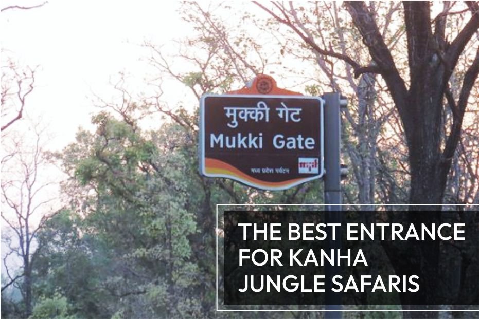 Mukki Gate, Kanha: The Best Entrance for Kanha Jungle Safaris