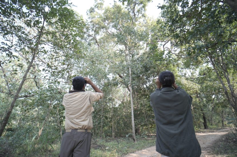 Nature Trail nature-trail-scaled